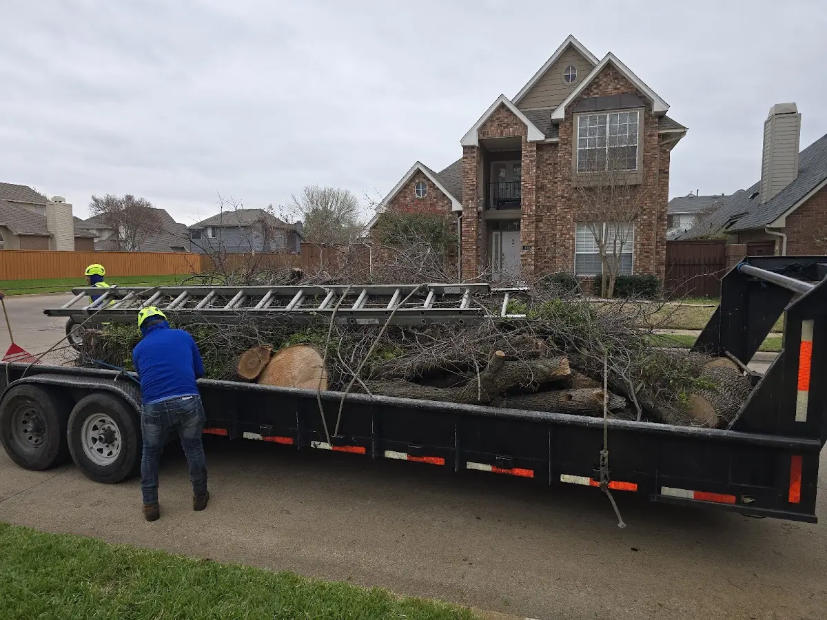 Expert Tree Pest Control with proper safety equipment in North Zulch